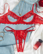 Women's Sexy Lace Mesh Hollow Underwear Set