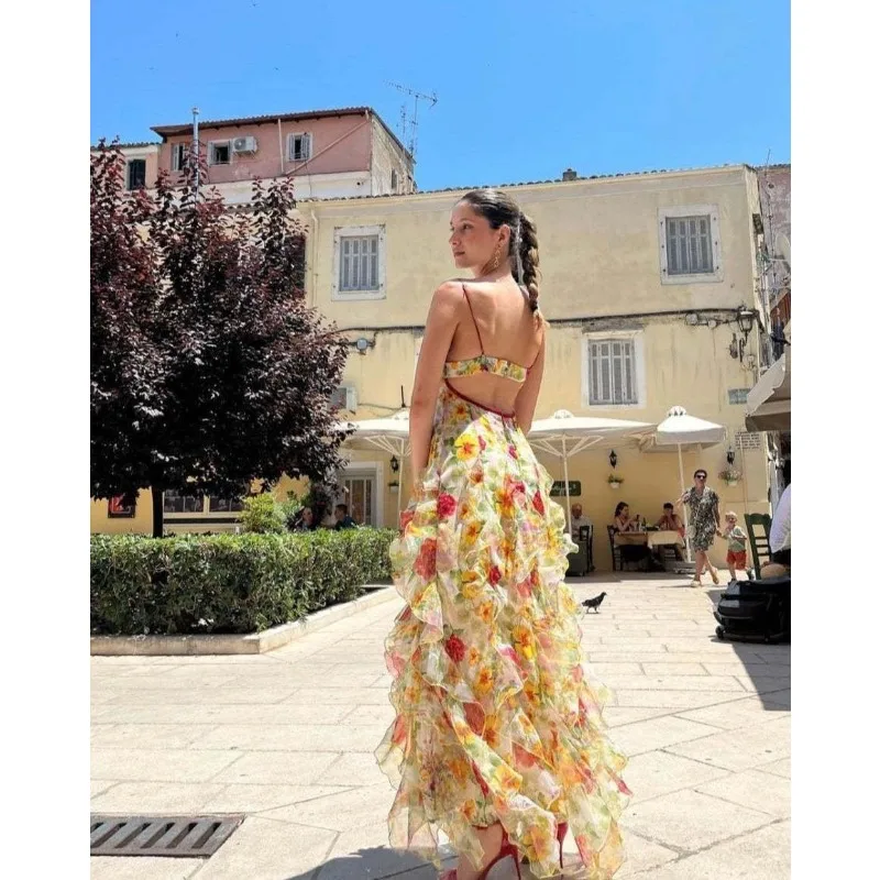 Alxia Ruffle Sheer Maxi Dresse